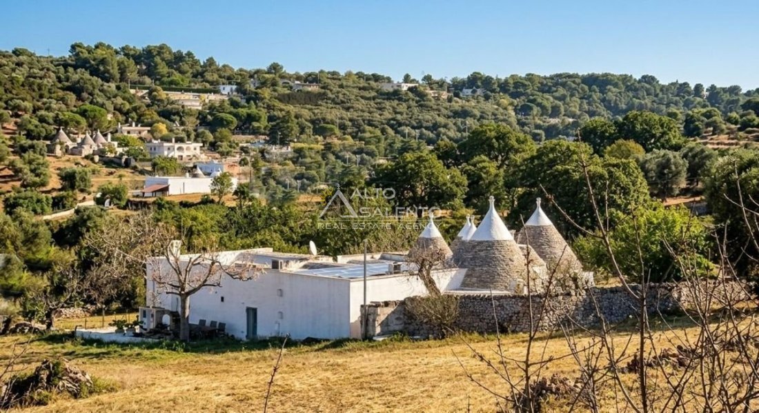 Anwesen in Fasano, Apulien, Italien 2 - 18273284
