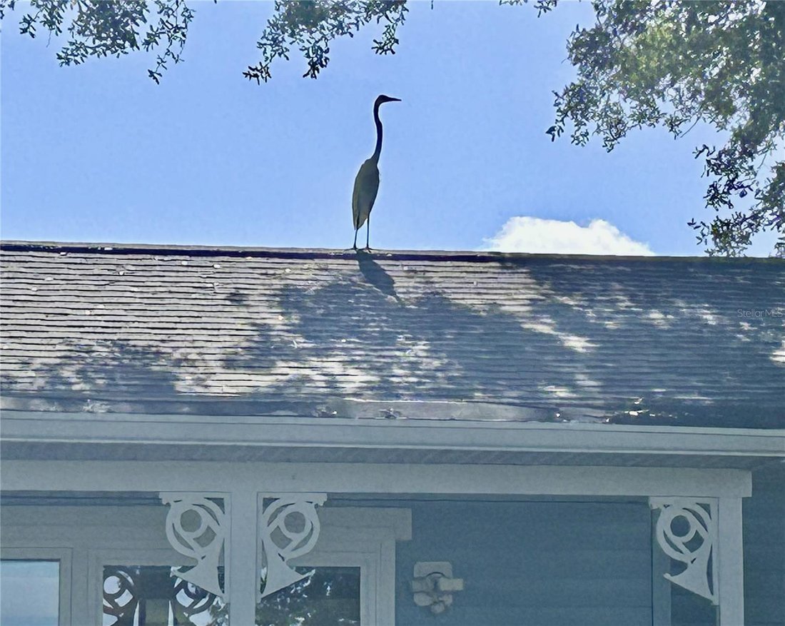 Maison à Saint Petersburg, Floride, États-Unis 4 - 18270351