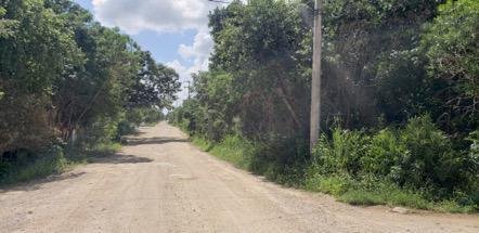Land in Alfredo V. Bonfil, Quintana Roo, Mexico 3 - 18272325