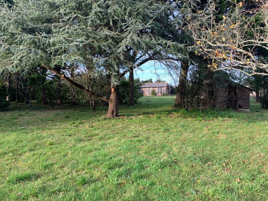 Land in Saint-Pierre-Quiberon, Brittany, France 4 - 18271236