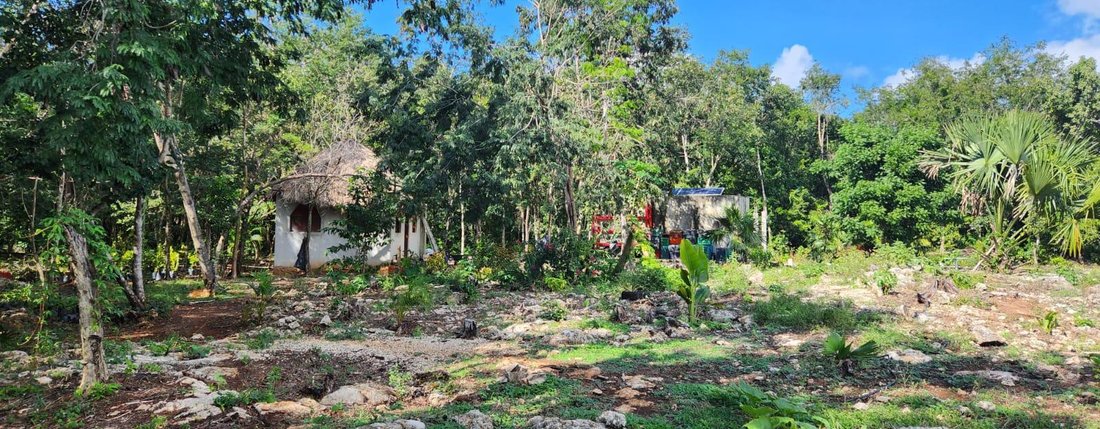 Land in Leona Vicario, Quintana Roo, Mexico 1 - 18272332
