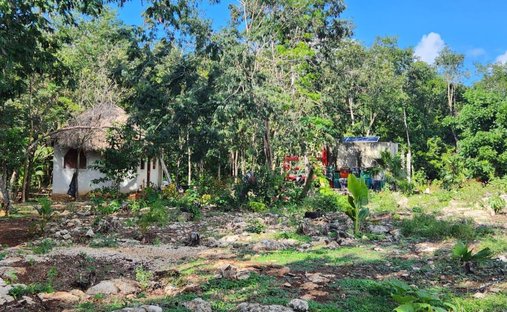 Land in Leona Vicario, Quintana Roo, Mexiko 1