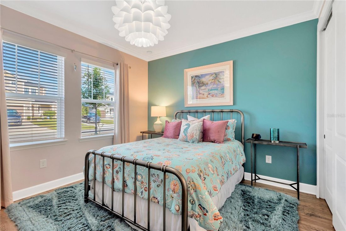 House in Wesley Chapel, Florida, United States 5 - 18273665