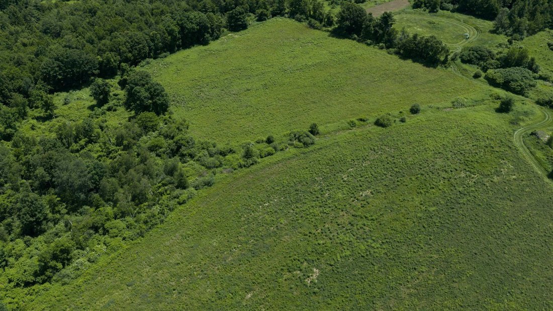Land in Westminster, Vermont, United States 3 - 18276252