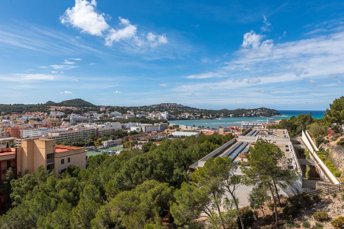 Apartment in Rotes Velles, Calvia, Balearic Islands 3 - 18271634