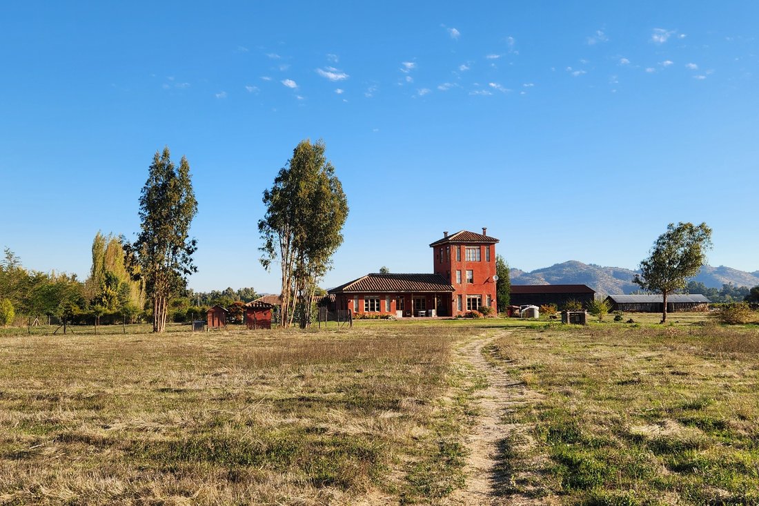 Peralillo, O'Higgins, Chile 2 - 18271993