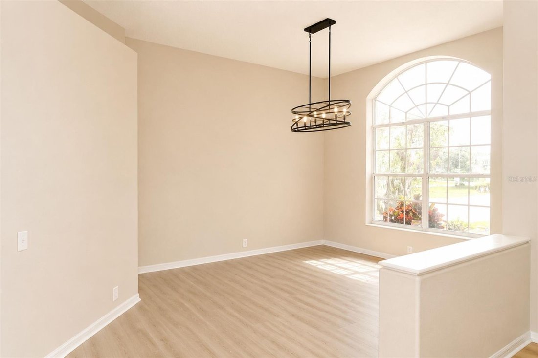House in Odessa, Florida, United States 4 - 17958027