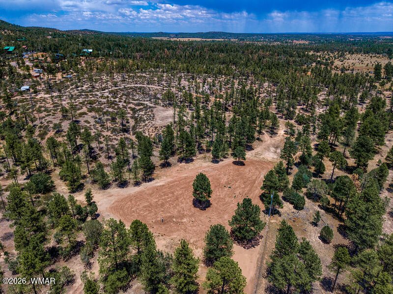 Land in Show Low, Arizona, United States 5 - 18276200