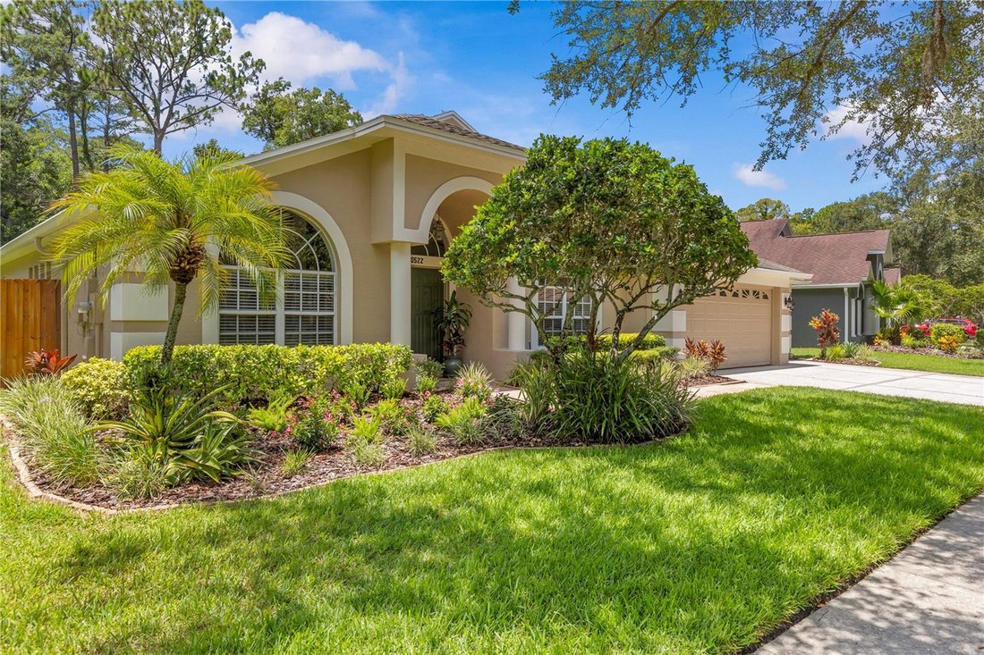 House in Tampa, Florida, United States 4 - 18273706