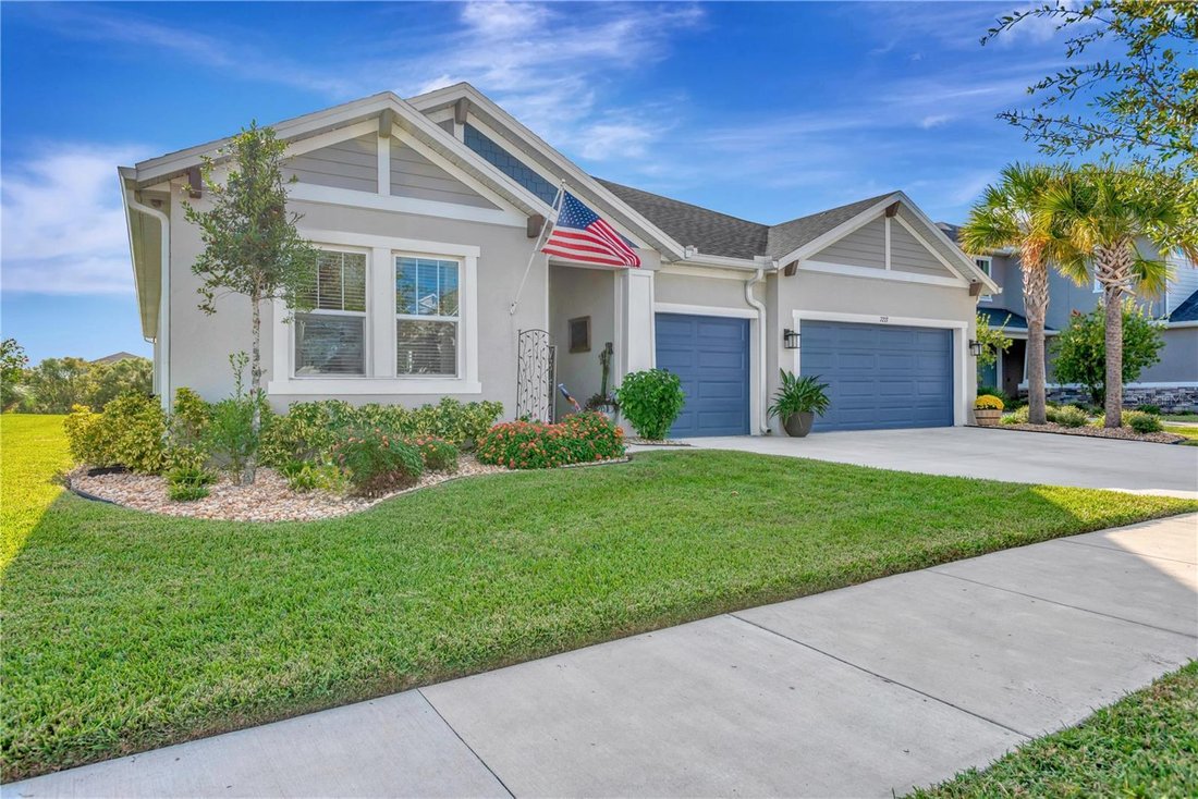 House in Wesley Chapel, Florida, United States 1 - 18273665