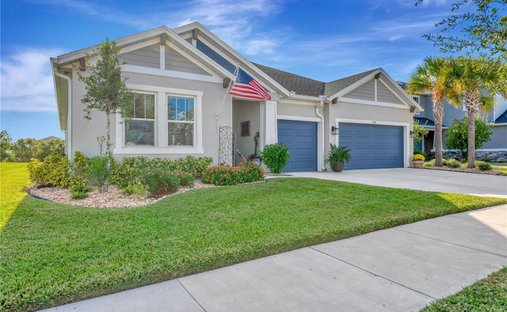 Casa en Wesley Chapel, Florida, Estados Unidos 1
