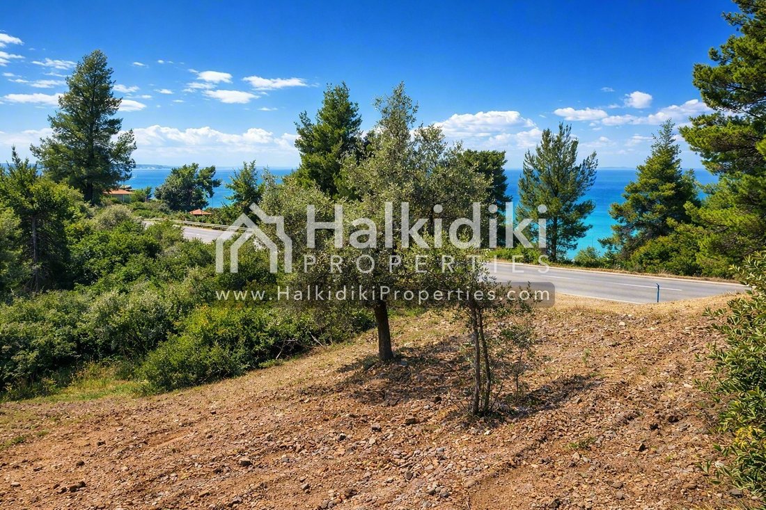 Land in Sithonia, Macedonia and Thrace, Greece 1 - 18203155