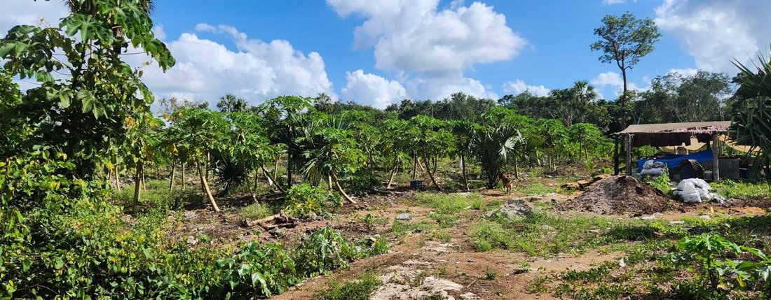 Land in Leona Vicario, Quintana Roo, Mexico 4 - 18272332