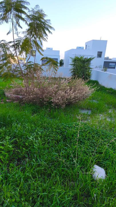 House in Agios Athanasios, Limassol, Cyprus 4 - 18270572