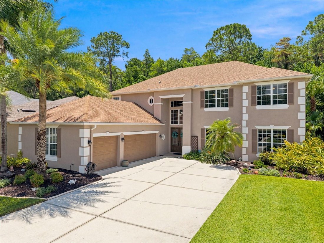 House in Wesley Chapel, Florida, United States 1 - 18273616