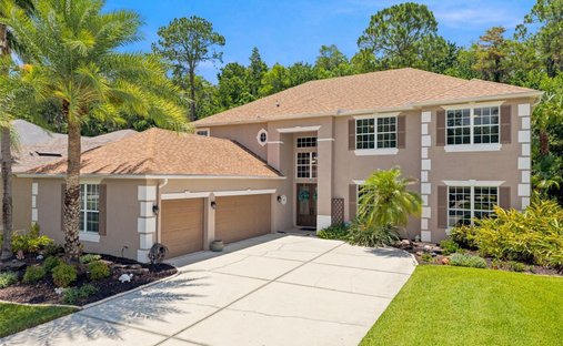 House in Wesley Chapel, Florida, United States 1