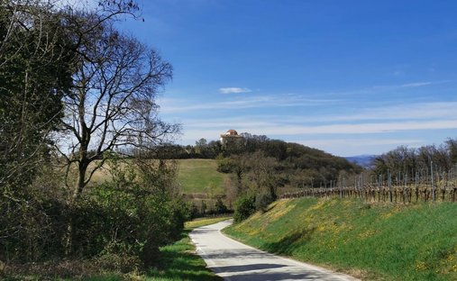 Villa en Lonigo, Véneto, Italia 1