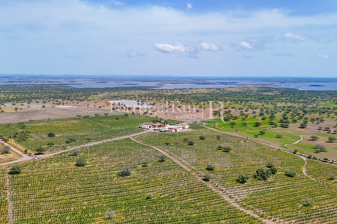 Estate in Amieira e Alqueva, Évora District, Portugal 3 - 18271924
