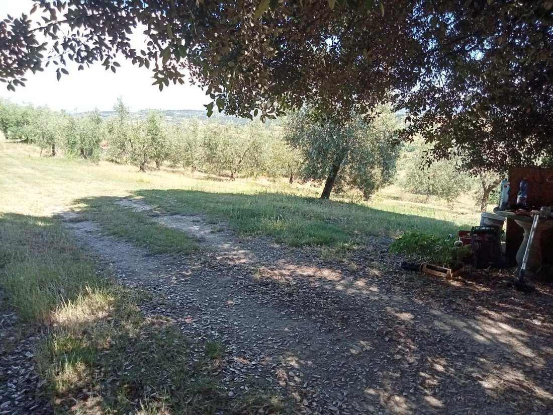 Villa in Historic Center, Empoli, Tuscany 2 - 18273316