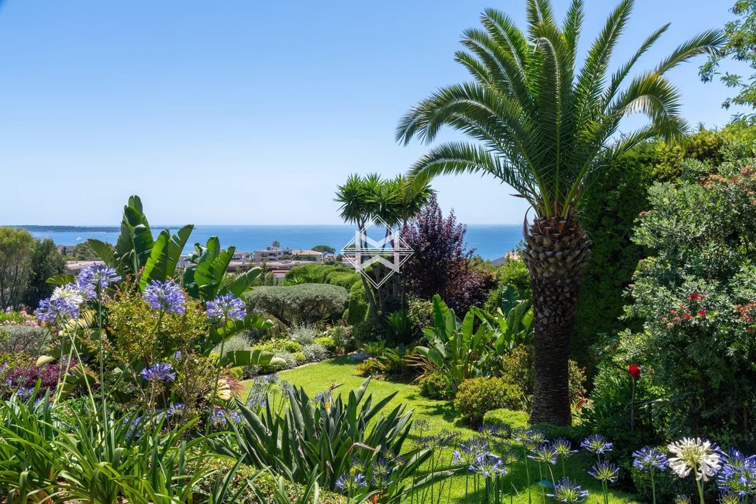 Villa in Cannes, Provence-Alpes-Côte d'Azur, France 4 - 18272044