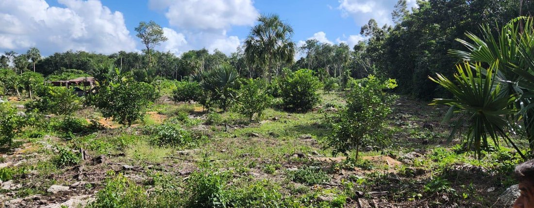 Land in Leona Vicario, Quintana Roo, Mexico 5 - 18272332