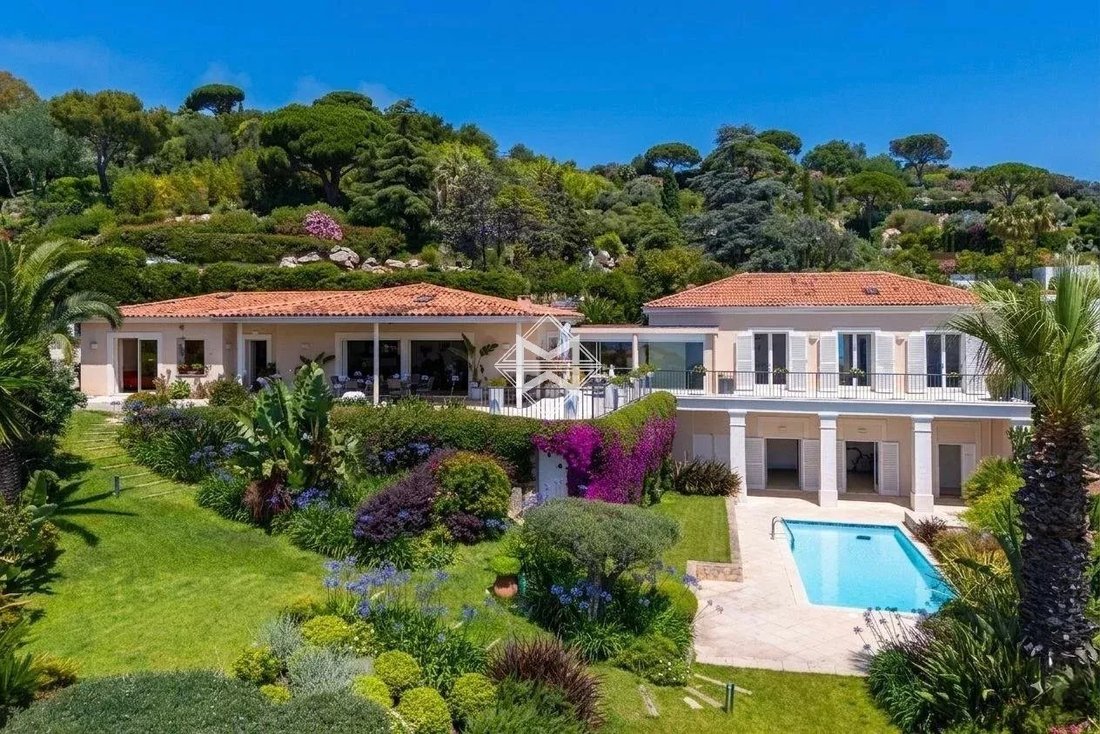 Villa in Cannes, Provence-Alpes-Côte d'Azur, France 1 - 18272044