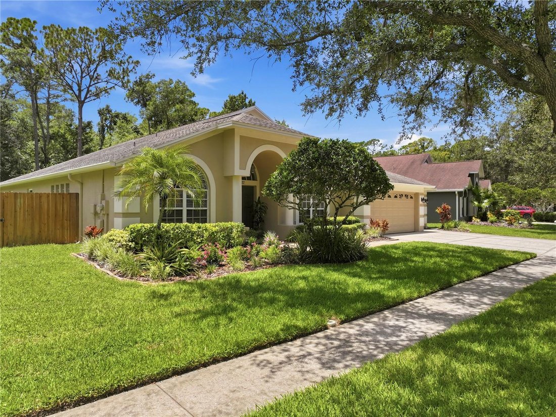 House in Tampa, Florida, United States 3 - 18273706