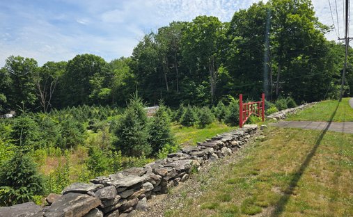 Land in Andover, Connecticut, United States 1