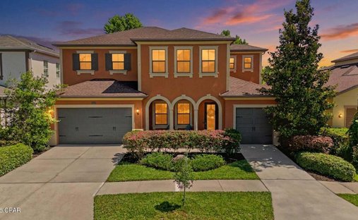 House in Tampa, Florida, United States 1