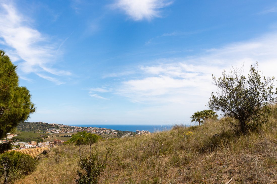 Land in Alella, Catalonia, Spain 4 - 18272847