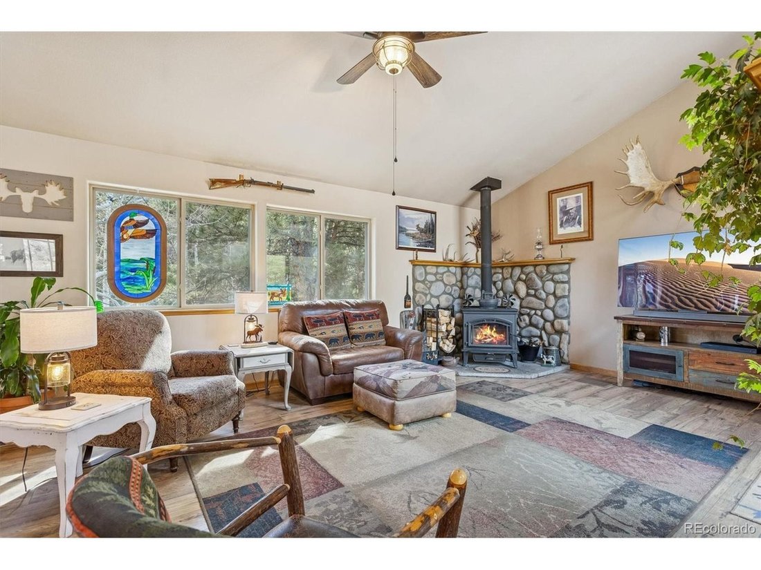 House in Bailey, Colorado, United States 5 - 18273623