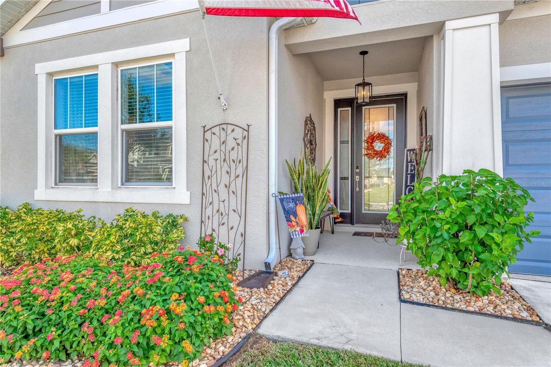 House in Wesley Chapel, Florida, United States 2 - 18273665