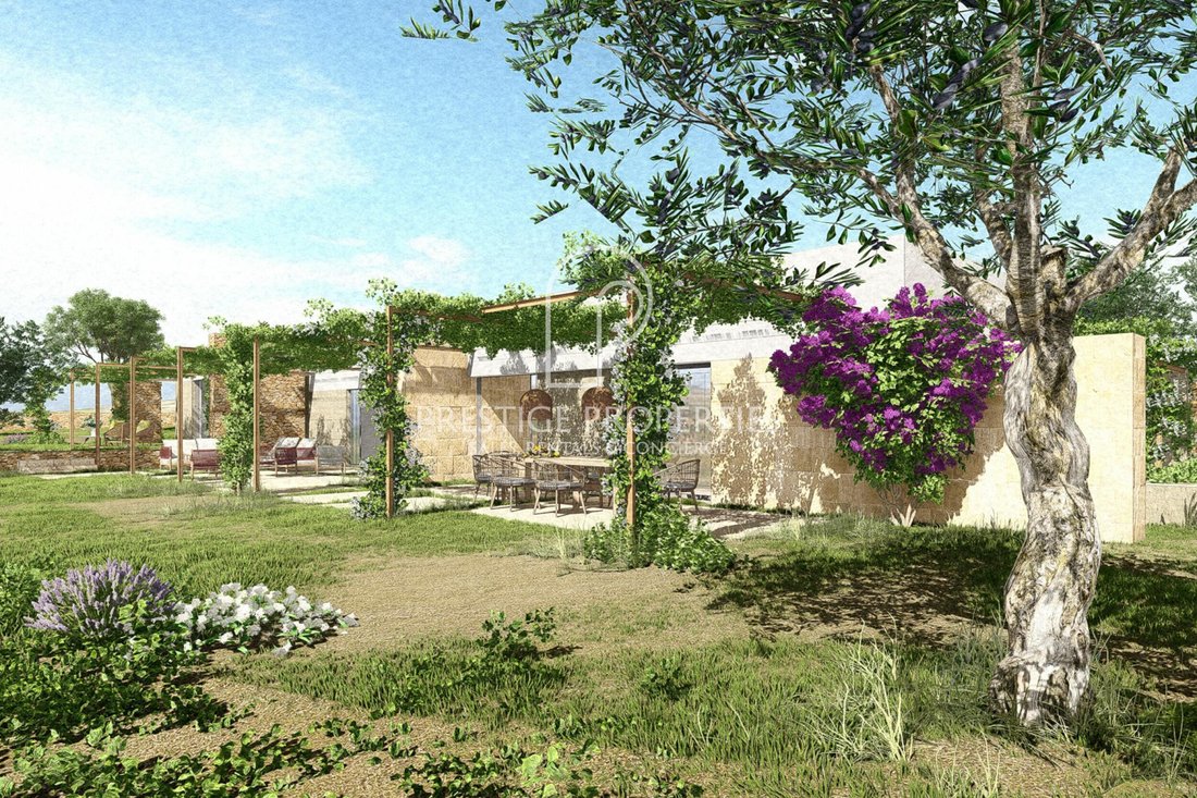 Land in Sant Mateu d'Albarca, Sant Antoni de Portmany, Balearic Islands 3 - 18275437