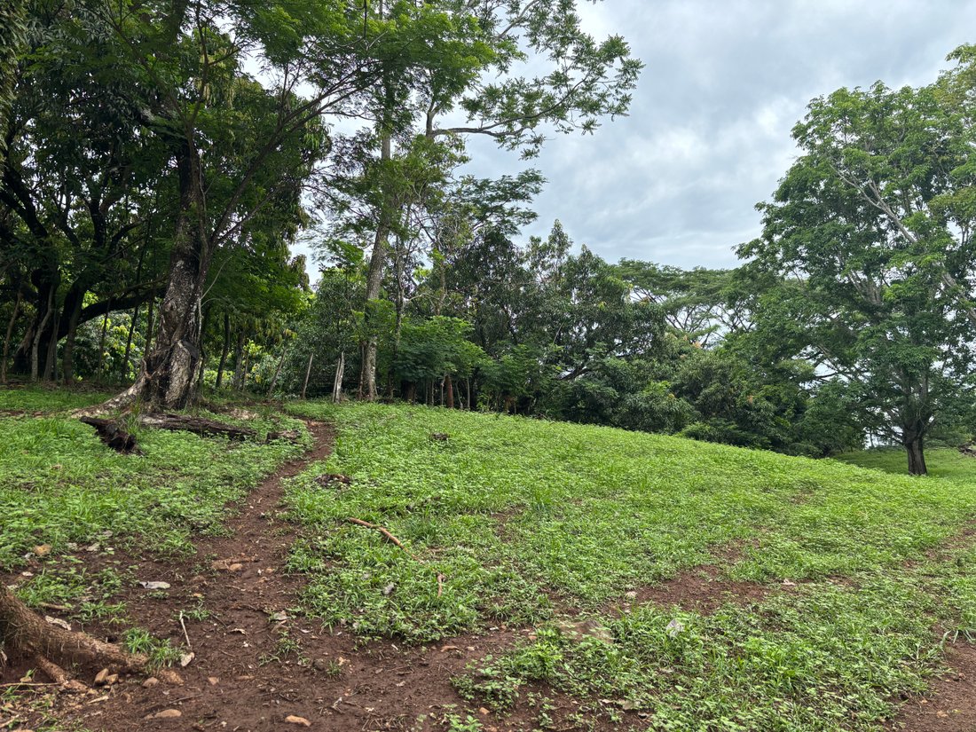 Farm Ranch in Turrubares, Turrubares, Costa Rica 3 - 18274666