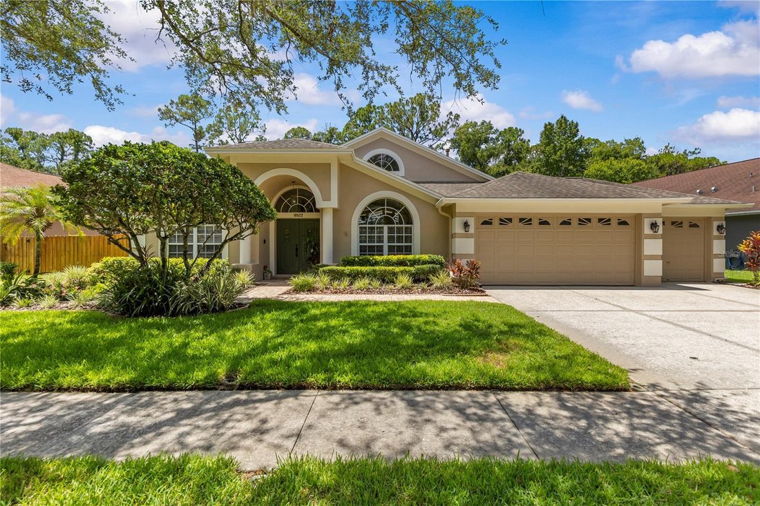 House in Tampa, Florida, United States 1 - 18273706