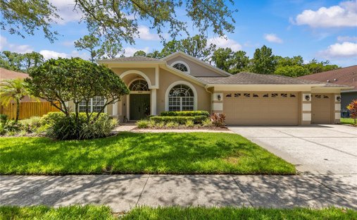 Maison à Tampa, Floride, États-Unis 1