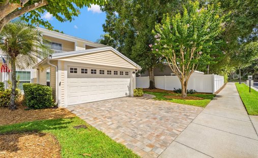 House in Safety Harbor, Florida, United States 1