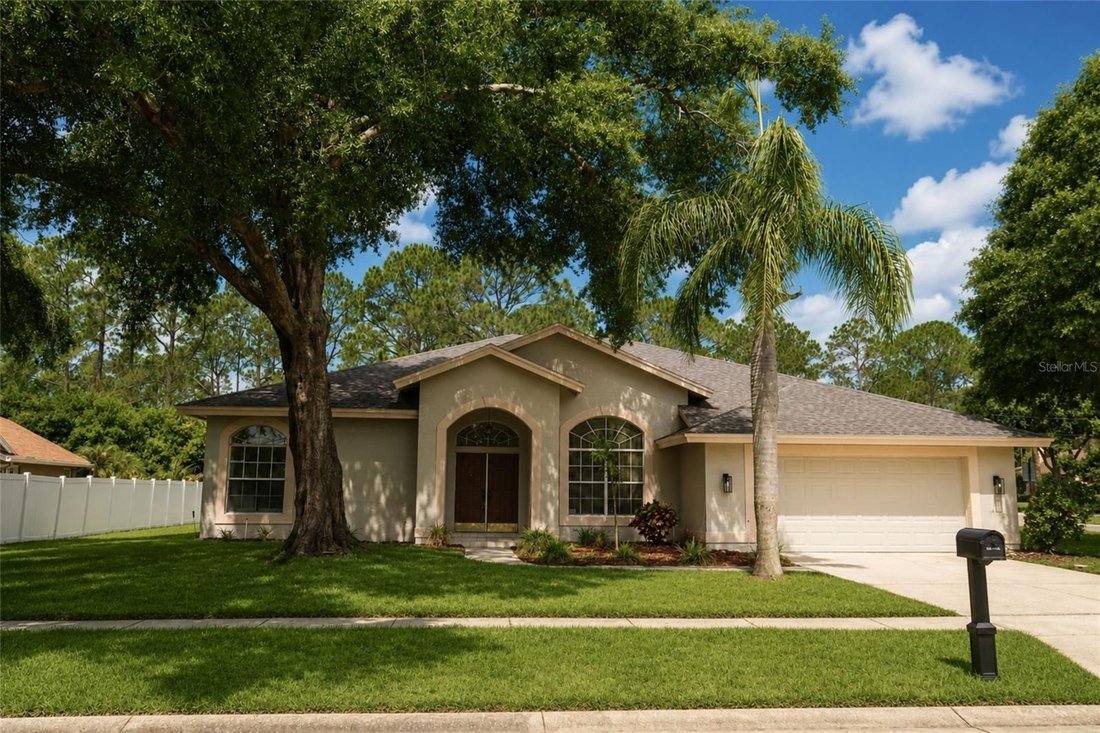 House in Odessa, Florida, United States 1 - 17958027