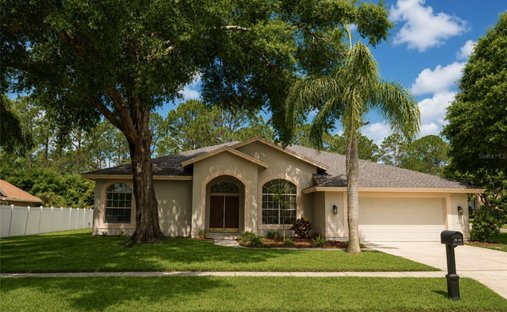 House in Odessa, Florida, United States 1