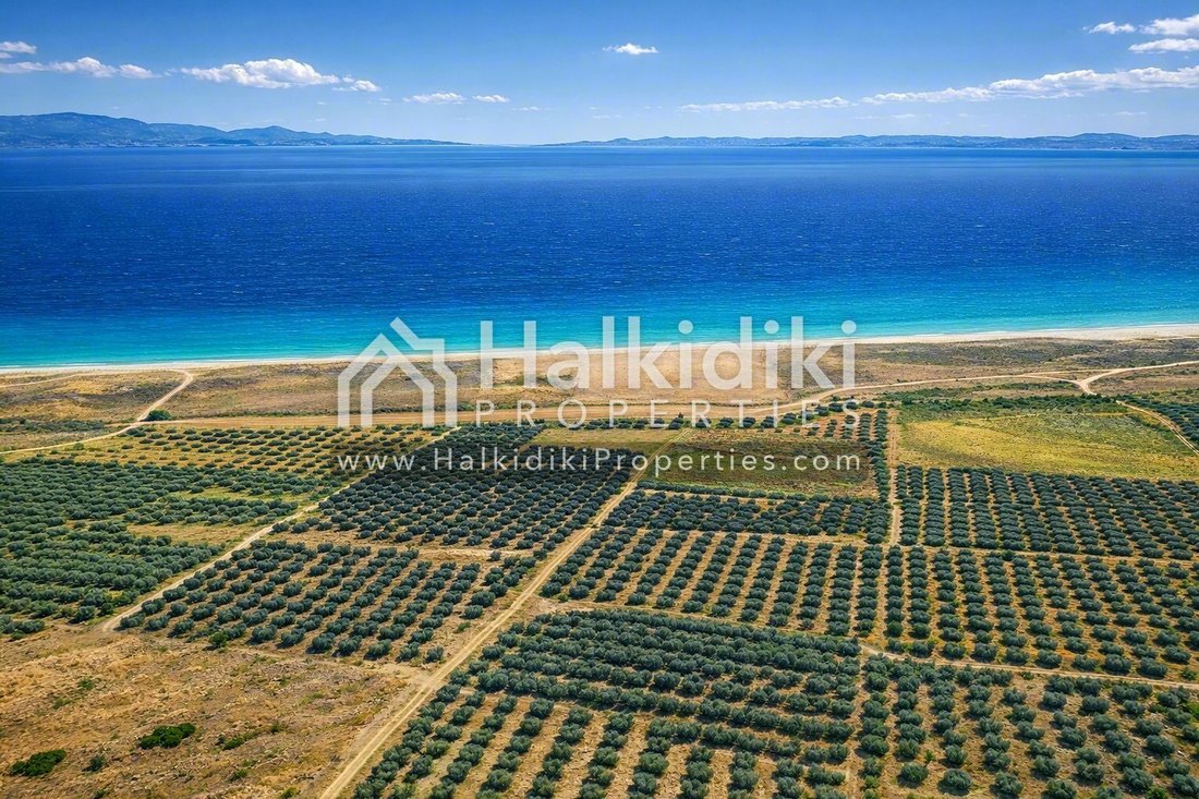 Land in Polygyros, Macedonia and Thrace, Greece 1 - 18203315
