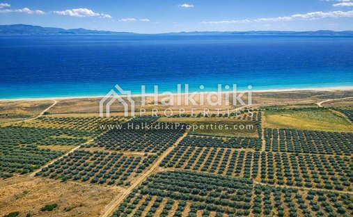 Land in Polygyros, Macedonia and Thrace, Greece 1
