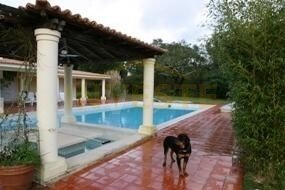 House in Santo Estevao, Santarem District, Portugal 4 - 11504576