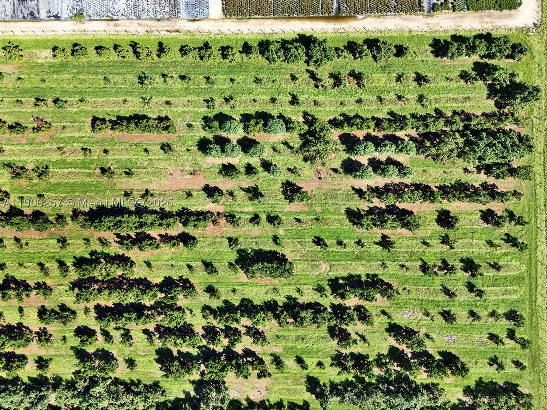 Land in Homestead, Florida, United States 5 - 16755474