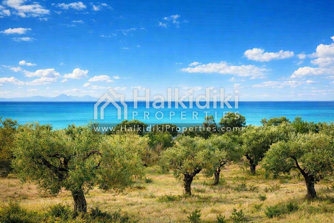 Land in Polygyros, Macedonia and Thrace, Greece 1 - 11865039