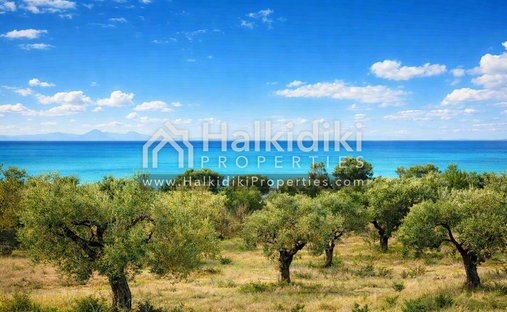 Land in Polygyros, Macedonia and Thrace, Greece 1