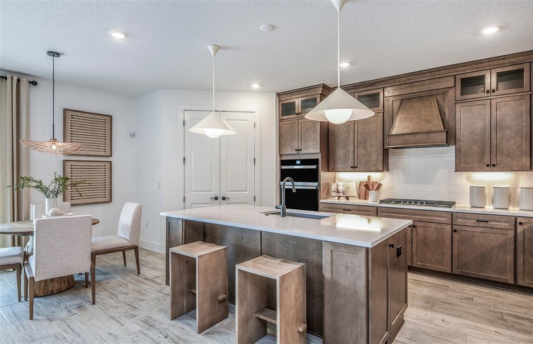 House in Wesley Chapel, Florida, United States 4 - 18273635