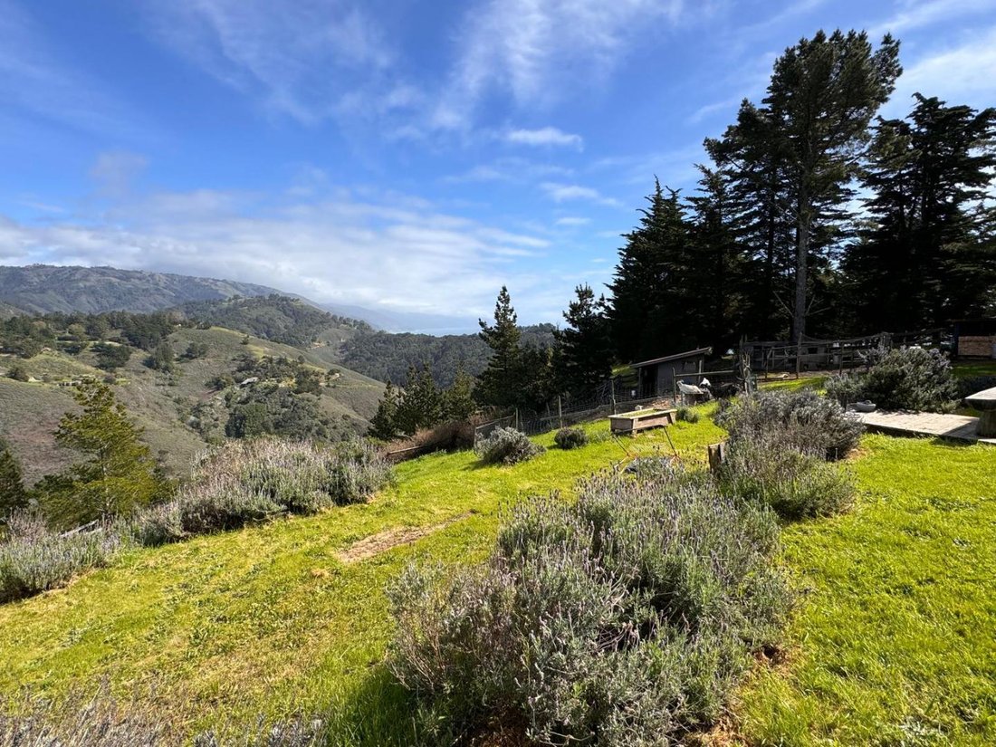 House in Big Sur, California, United States 3 - 18274443