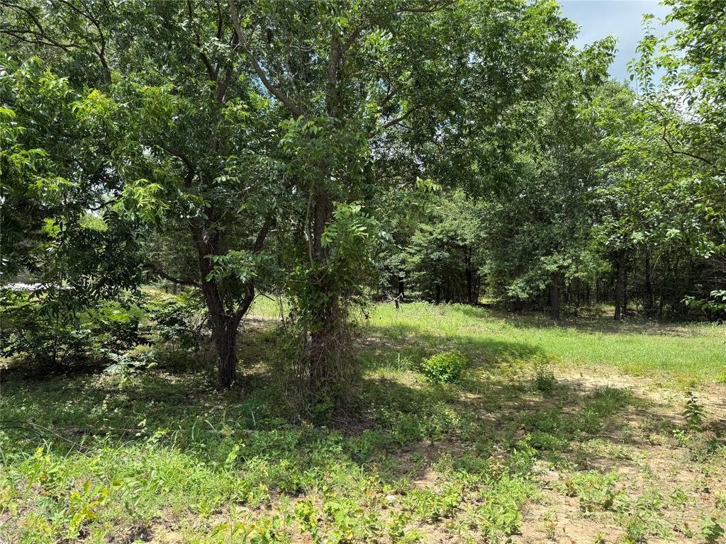 Casa en Ennis, Texas, Estados Unidos 2 - 17215802