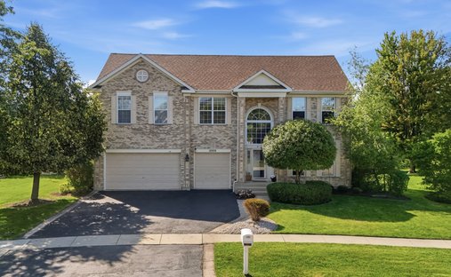 House in Lindenhurst, Illinois, United States 1
