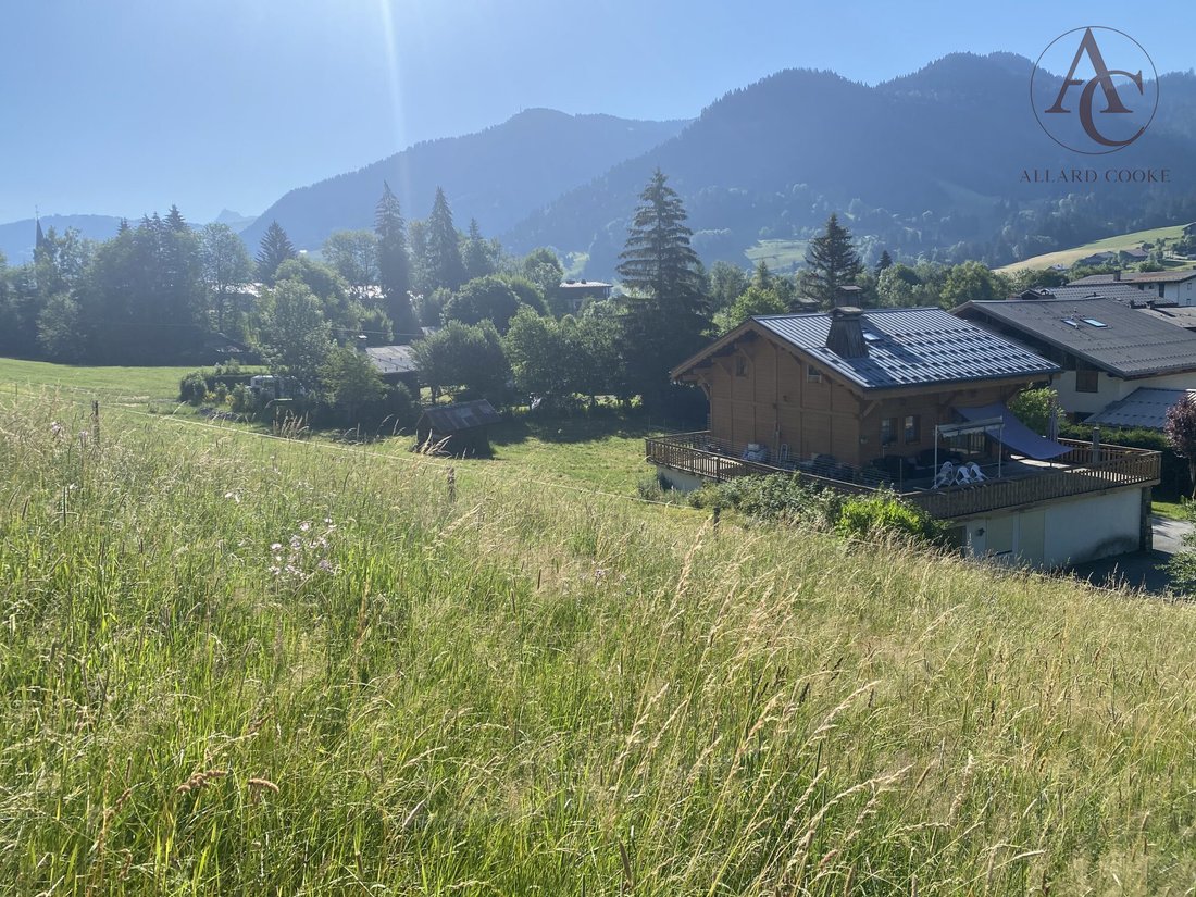 Land in Praz-sur-Arly, Auvergne-Rhône-Alpes, France 2 - 18276400